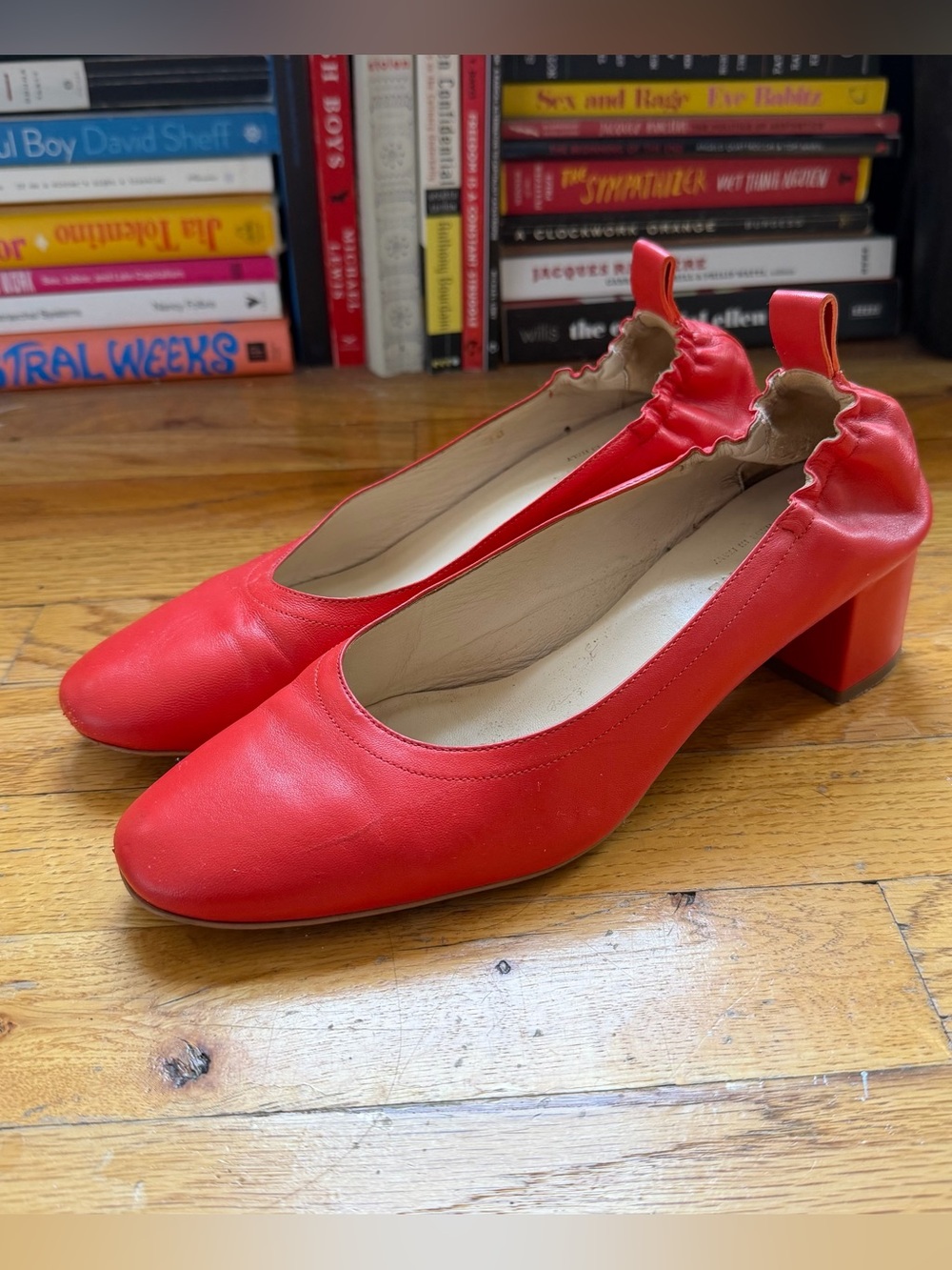 Everlane Day Heel Ballet Pumps